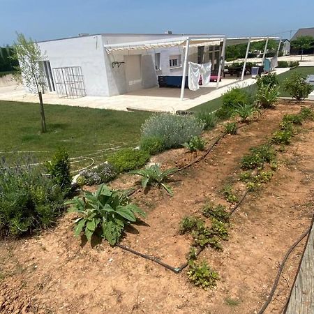 White House En Enguera - Fantastica Casa Con Jacuzzi Piscina Y Barbacoa Lägenhet Exteriör bild