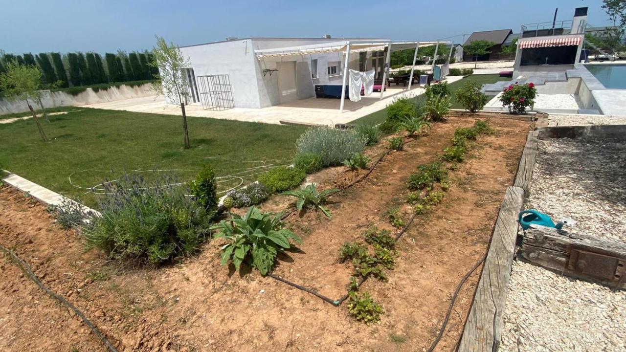 White House En Enguera - Fantastica Casa Con Jacuzzi Piscina Y Barbacoa Lägenhet Exteriör bild